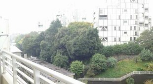 溜池山王駅 徒歩6分 12階の物件内観写真